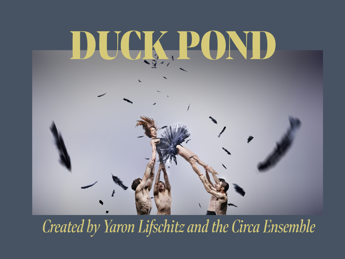 Duckpond.png